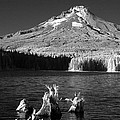 Trillium Lake
